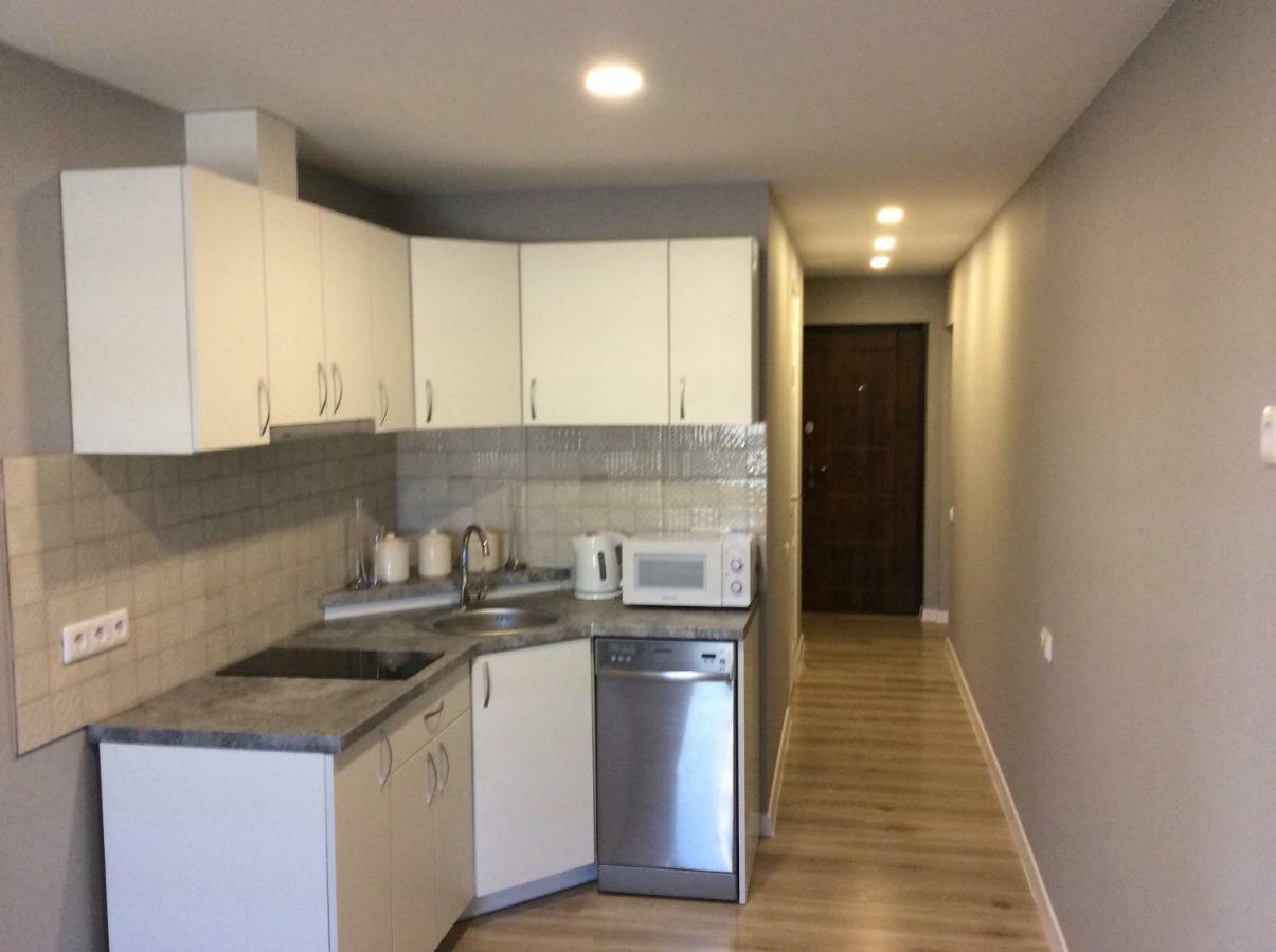 Apartamentai Rusneje , Nemuno 13 المظهر الخارجي الصورة