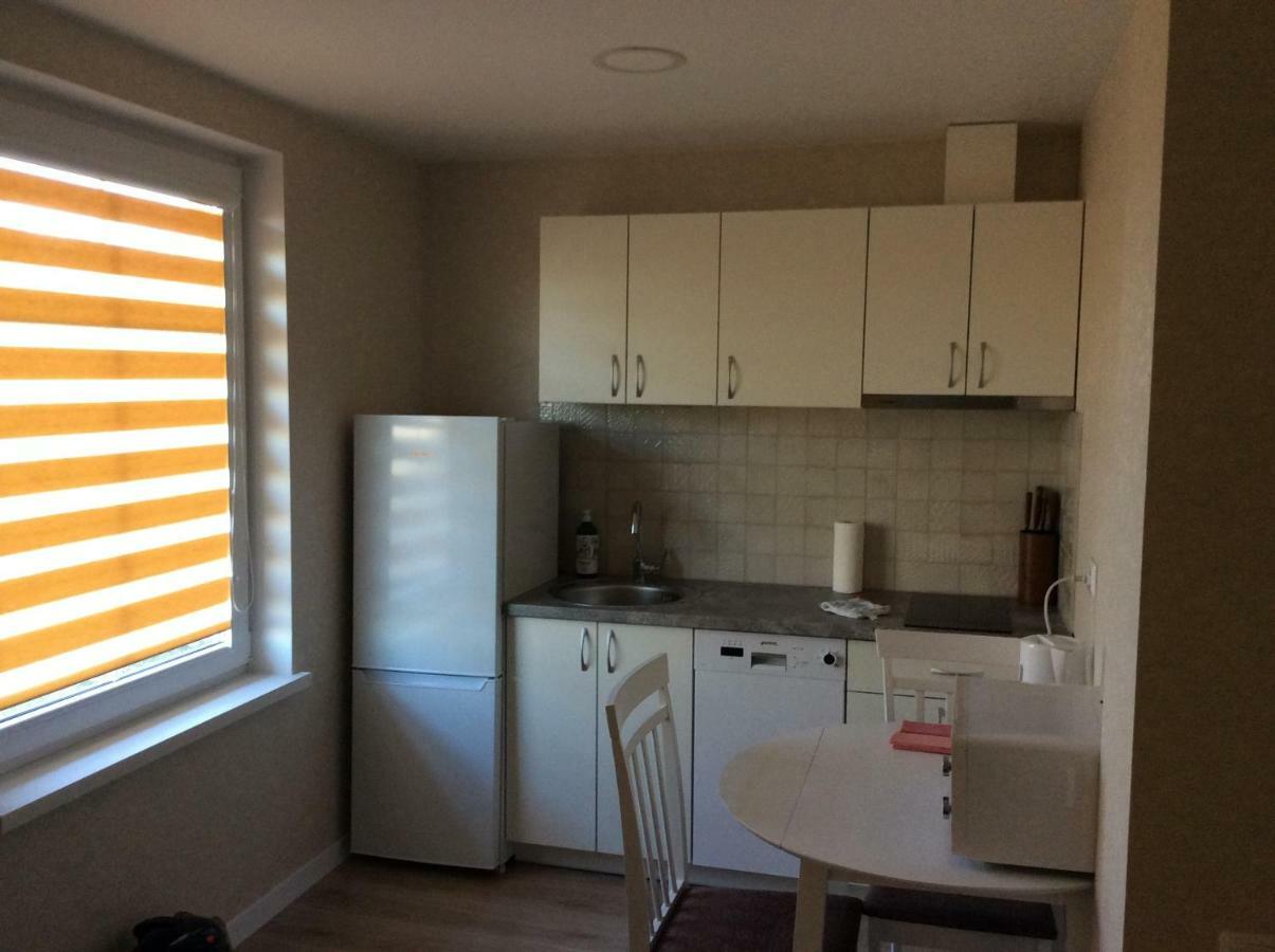 Apartamentai Rusneje , Nemuno 13 المظهر الخارجي الصورة